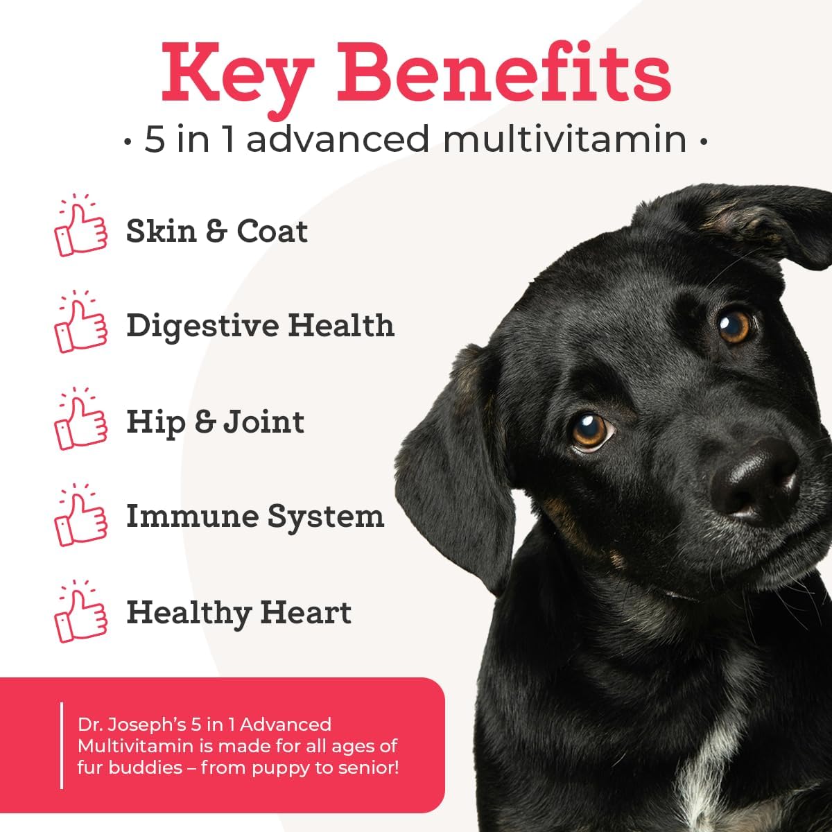Dr. Joseph's VetPro Complete Multivitamin Dog Supplement, 60 Count (Small Dog 60 Days Supply), 5 in
