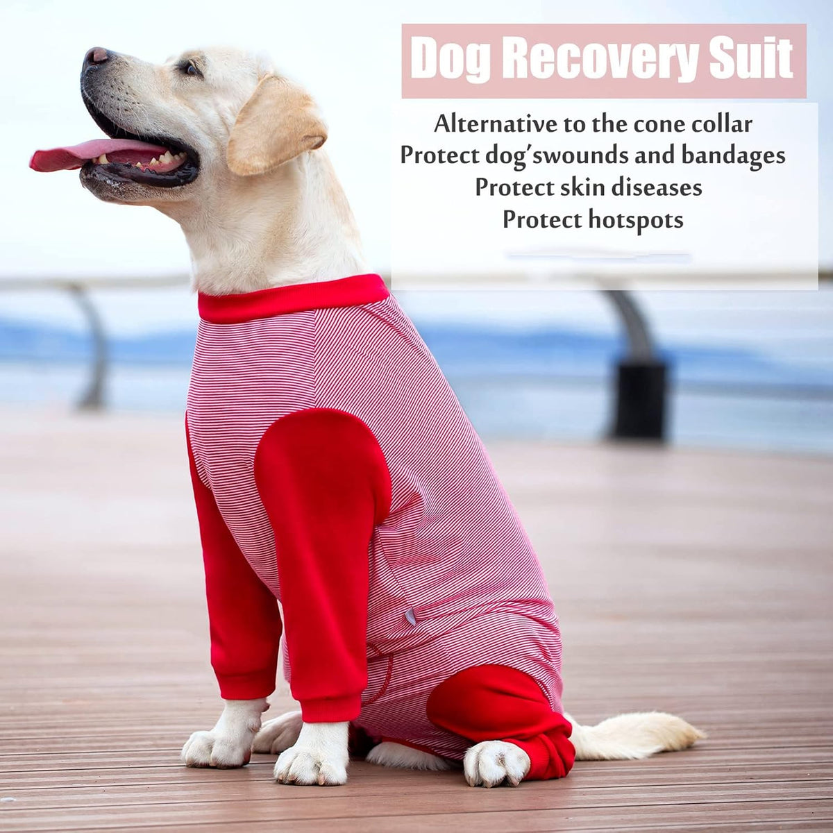Yeapeeto Dog Onesie Surgery Recovery Suit for Large Medium Bodysuit Dogs Pajamas PJS Full Body for