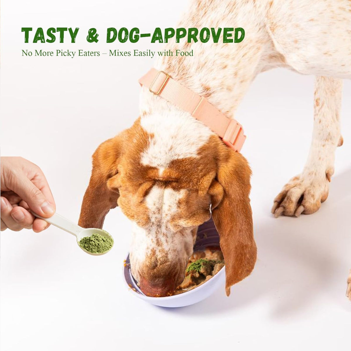 Dog Dental Care Powder - Plaque & Tartar Control with Natural Enzymes, Teeth Cleaning Powder for