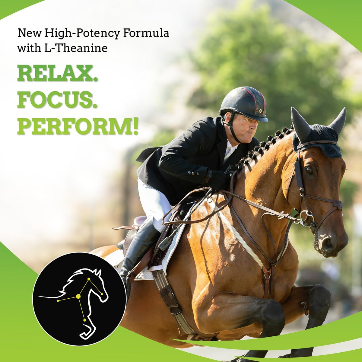 SynChill AF Calming Gel for Nervous Horses - Single Serving - Advanced Formula with L-Theanine