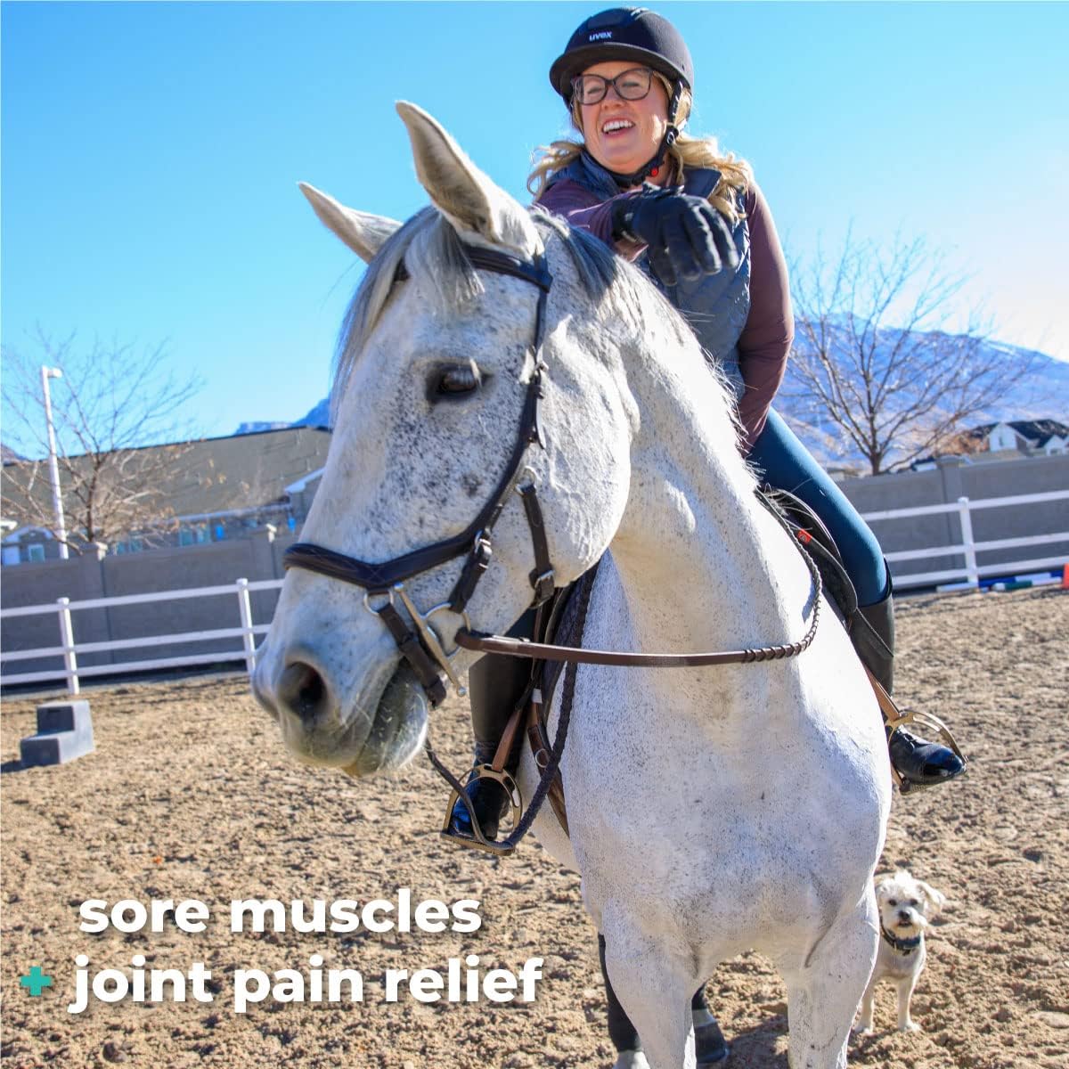 Veterinary Liniment Gel for Horses | Sore Muscle Rub | Soothing Warmth, Made with Plant-Based