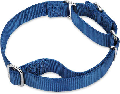 Hyhug Pets Premium Upgraded Durable Nylon Anti-Escape Martingale Collar for Boy and Girl Dogs Comfy