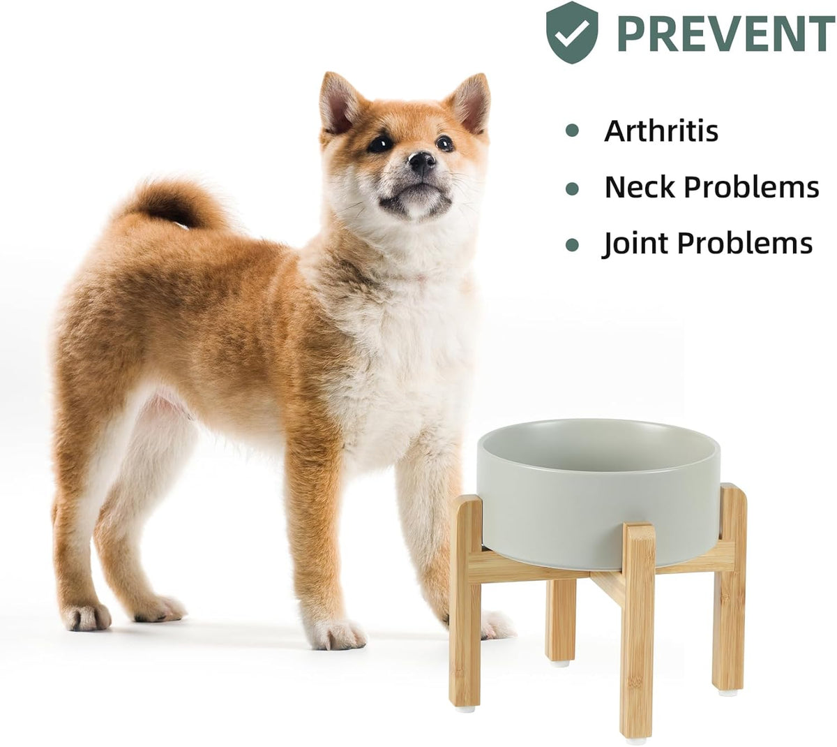 Ceramic Raised Dog Bowl Set, Elevated with Stand, Food and Water Bowl for Medium Breed Dogs