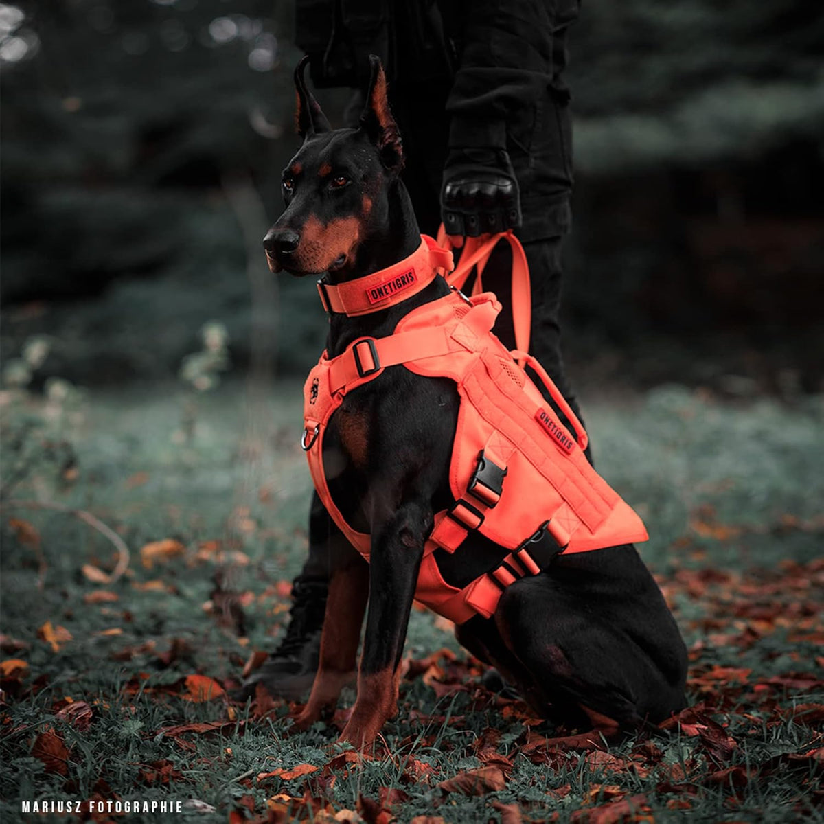 OneTigris Tactical Dog Harness for Small Dog, Mesh Design Service Dog Vest Breathable Military Dog