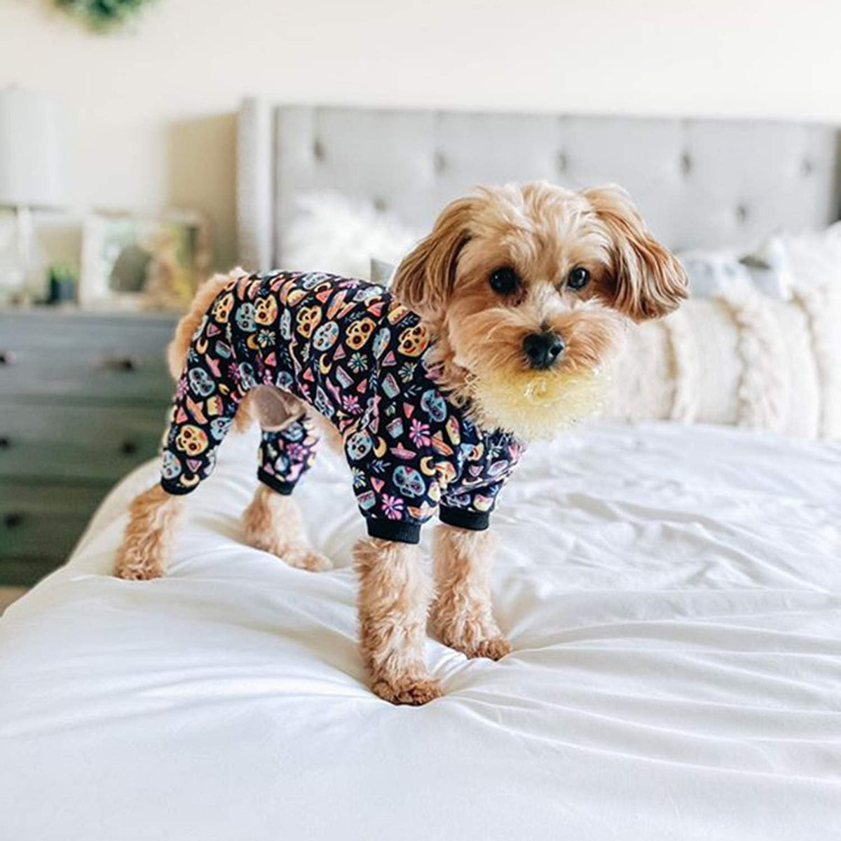 CuteBone Small Dogs Outfit Soft Puppy Onesies Pjs Dog Pajamas Pet Coat Cat Apparel Comfy Doggie