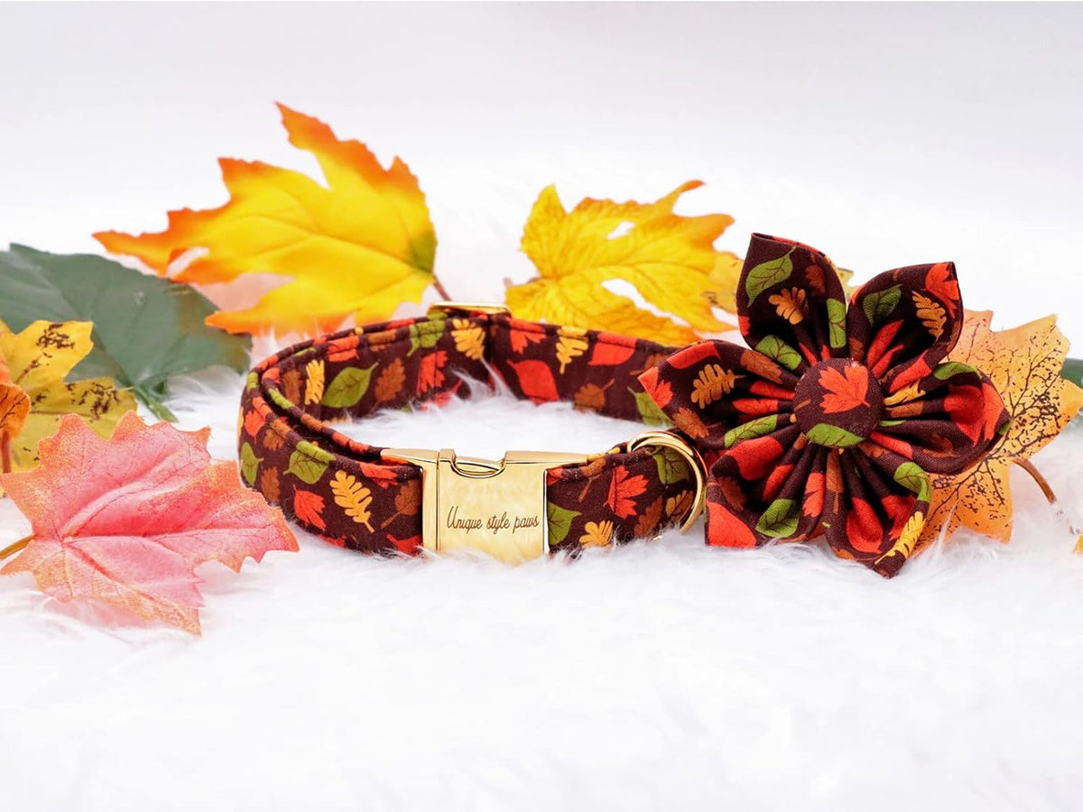 Unique style paws Fall Dog Collar with Bow, Puppy Collar Pet Gift Adjustable Dog Collar Soft and