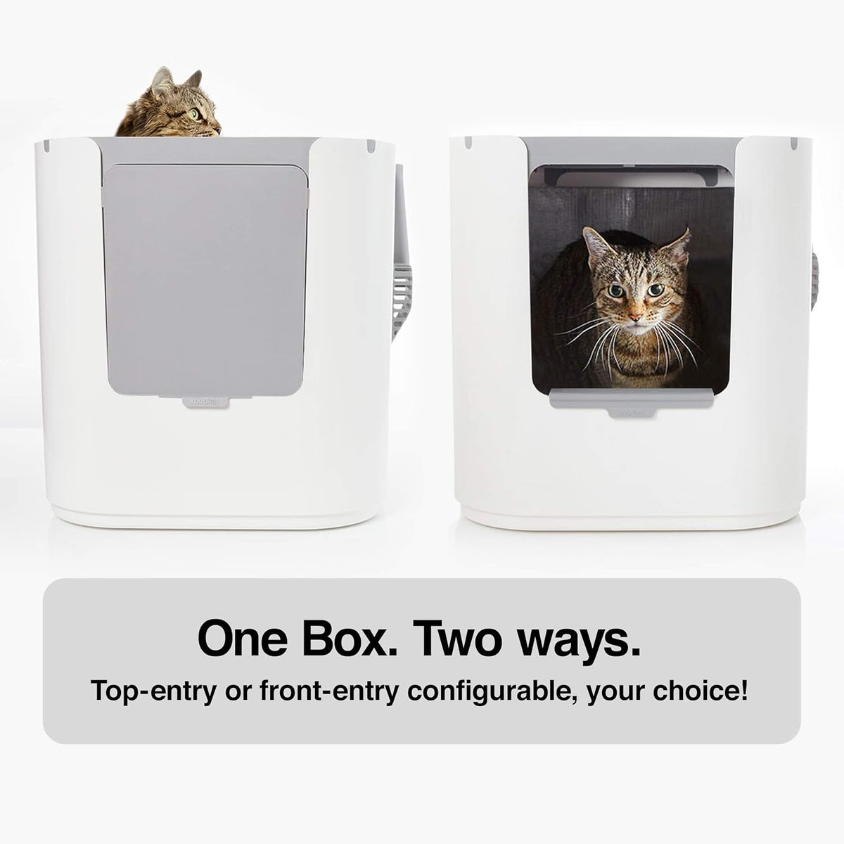 Modkat® XL Litter Box, Top or Front-Entry Configurable, Full Height Seamless Base, Reusable Litter