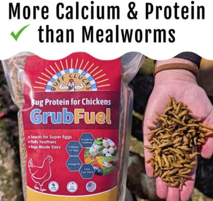 Grub Fuel Black Soldier Fly Larvae for Chickens - Nutrient Packed BSFL, Sustainably Sourced Snack