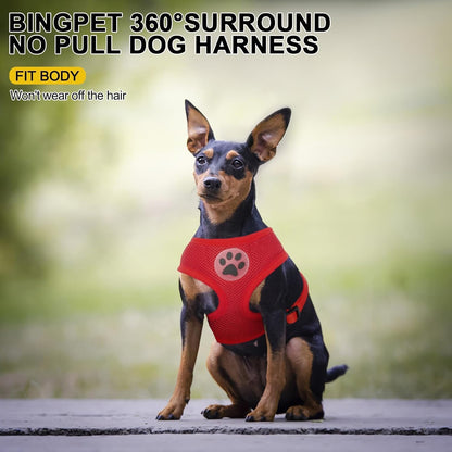 BINGPET No Pull Dog Harness - All Weather Mesh Step-in Vest for Small Dogs, Breathable Mesh Puppy &