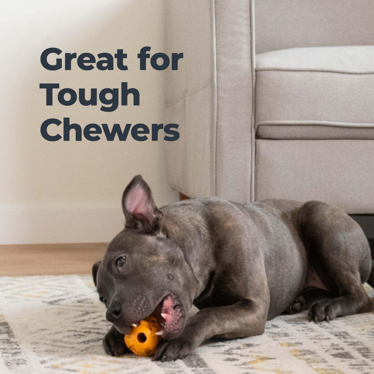 Oxyfresh Dog Dental Chew Toy - Best Durable Rubber Dog Toy for Tough Chewers – Helps Remove Plaque