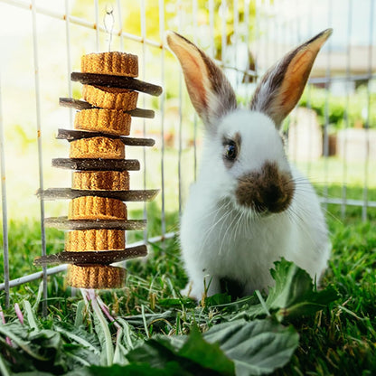 kathson Natural Small Animal Chew Toys for Teeth,4 PCS Rabbit Hanging Chewing Treats with Natural
