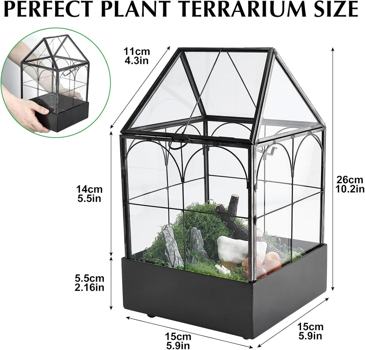 HighFree Glass Terrarium with Metal Tray, Glass Greenhouse Terrarium Kit for Succulents, Cacti