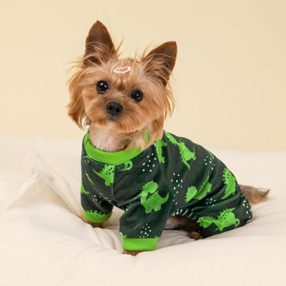 Fitwarm Dinosaur Dog Fleece Pajamas, Warm Clothes for Small Dogs Boy, Cozy Pet Onesie with Feet