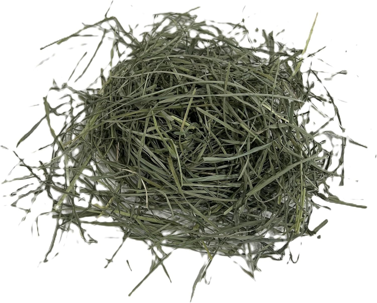 Blue Mountain Hay High-Altitude Teff Grass Hay, 50lb Easy Flake Box - Low NSC & High Fiber for Easy