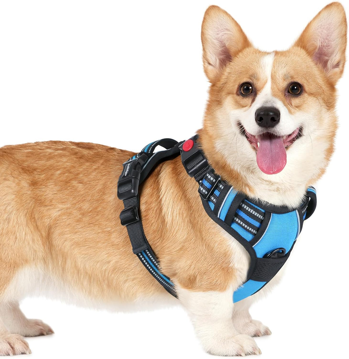 rabbitgoo Dog Harness Small Sized, No Pull Pet Harness with 3 Buckles, Adjustable Soft Padded Vest