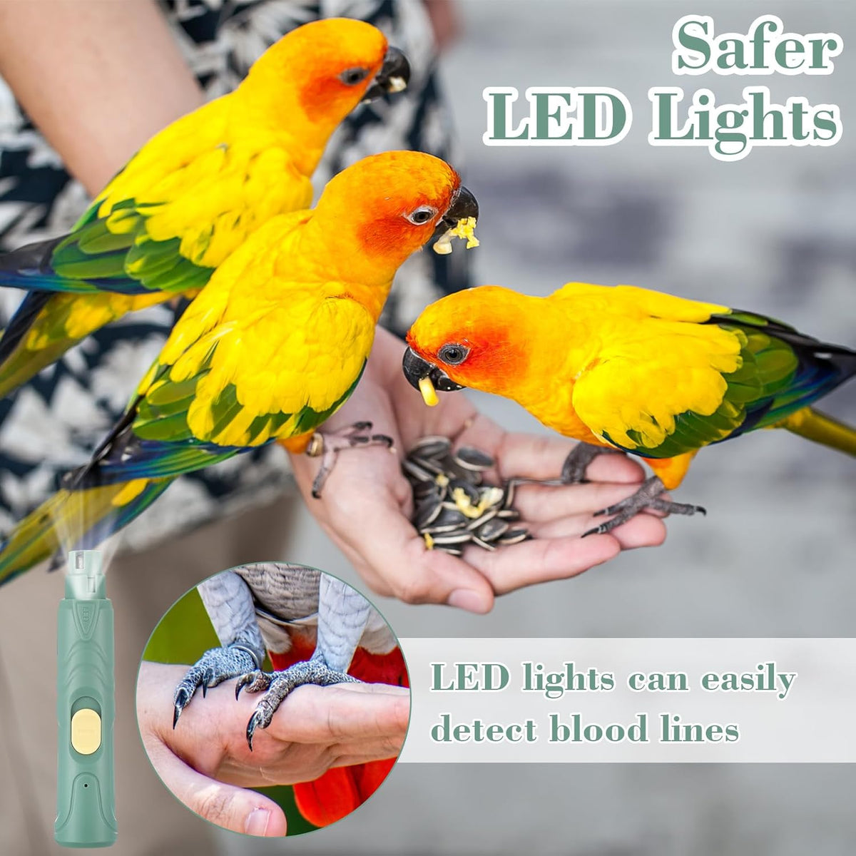 Lasnten 2 Pcs Bird Nail Grinder with Bird Nail Clipper Bird Nail Trimmer Bird Nail File with LED
