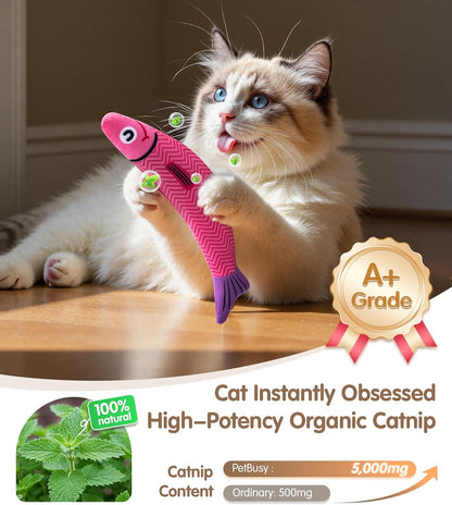 Interactive Cat Toys with[5000mg Premium A+Catnip][Baby Grade] Soft Chew Kicker Cat Toys for Indoor