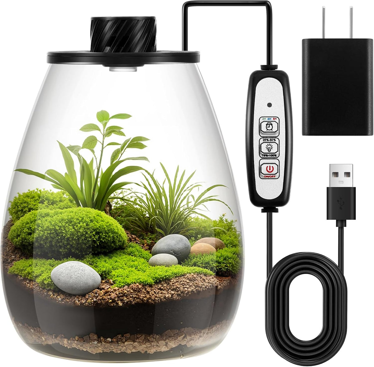 Maxdot Glass Plant Terrarium Kit with Light for Succulent, Moss, Miniature Gardening Landscape