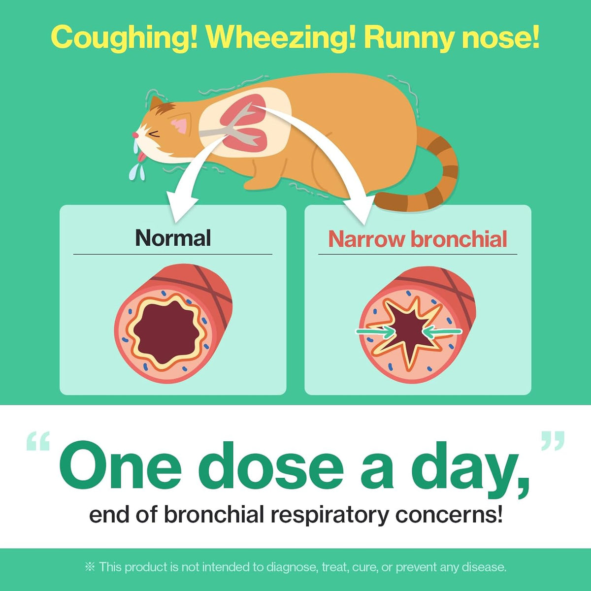 Dr.by Cat Breath Bronchial Supplements Cat Sneezing Treatment Asthma Cold Cough Nose Relief