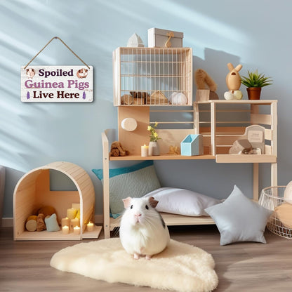 Big Hamster Ball & Guinea Pig Hideout - Stuffed Animals & Accessories for Guinea Pig Cage - 12x6 In