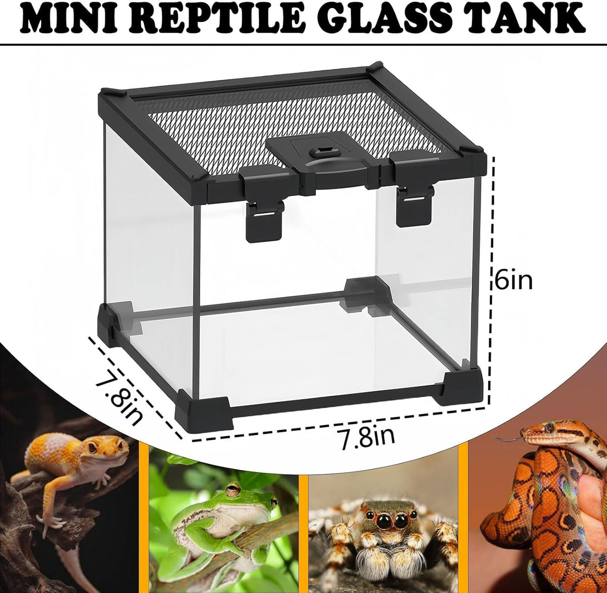 BNOSDM Reptile Tank,8" x 8" x 6" Mini Reptiles Terrarium,Full View Young Lizard Glass Tank,Small