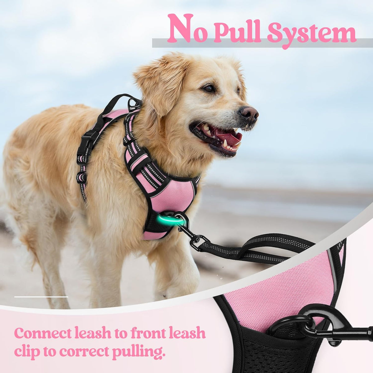 rabbitgoo Dog Harness No Pull with 2 Leash Clips, Adjustable Soft Padded, Reflective Oxford No