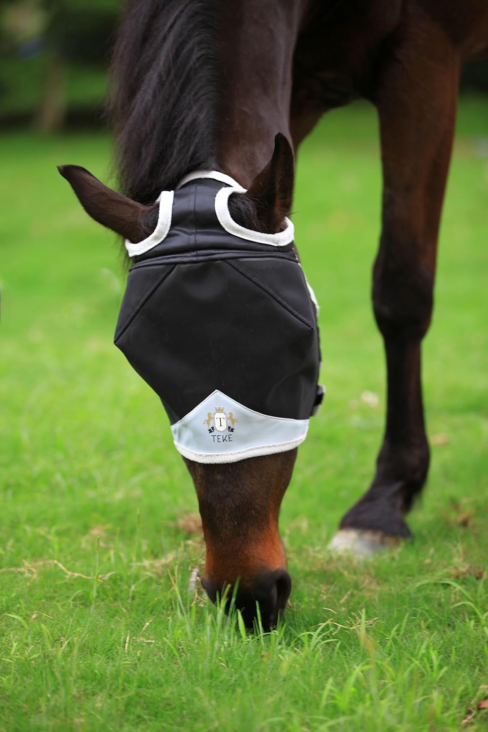 T TEKE Fine Mesh Horse Fly Mask w/No Ears, UV Blocking 3D Eye Visor with Extra Fleece Cushioned