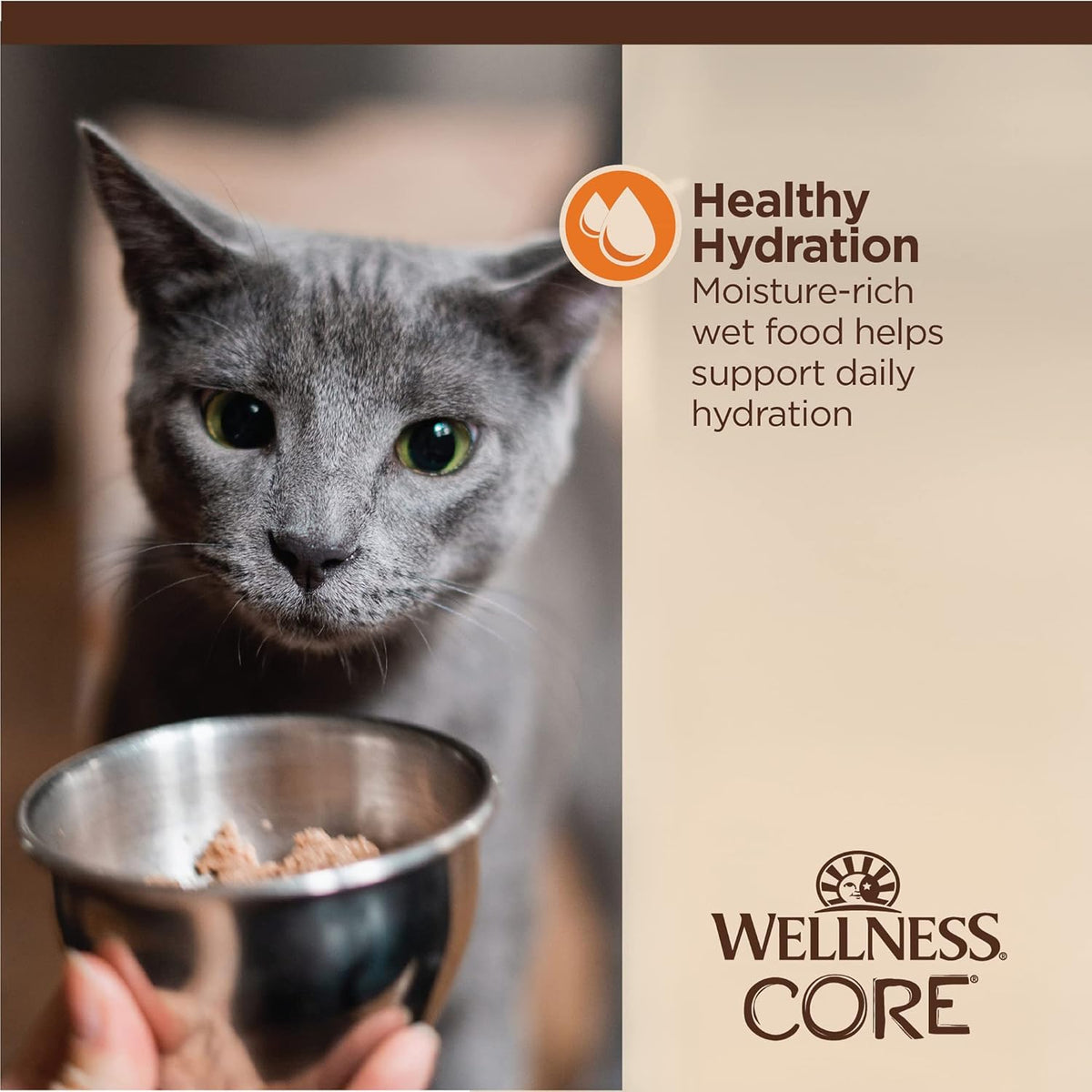Wellness CORE Tiny Tasters Minced Adult Wet Cat Food, Natural, Protein-Rich, Grain Free, 1.75-Ounce