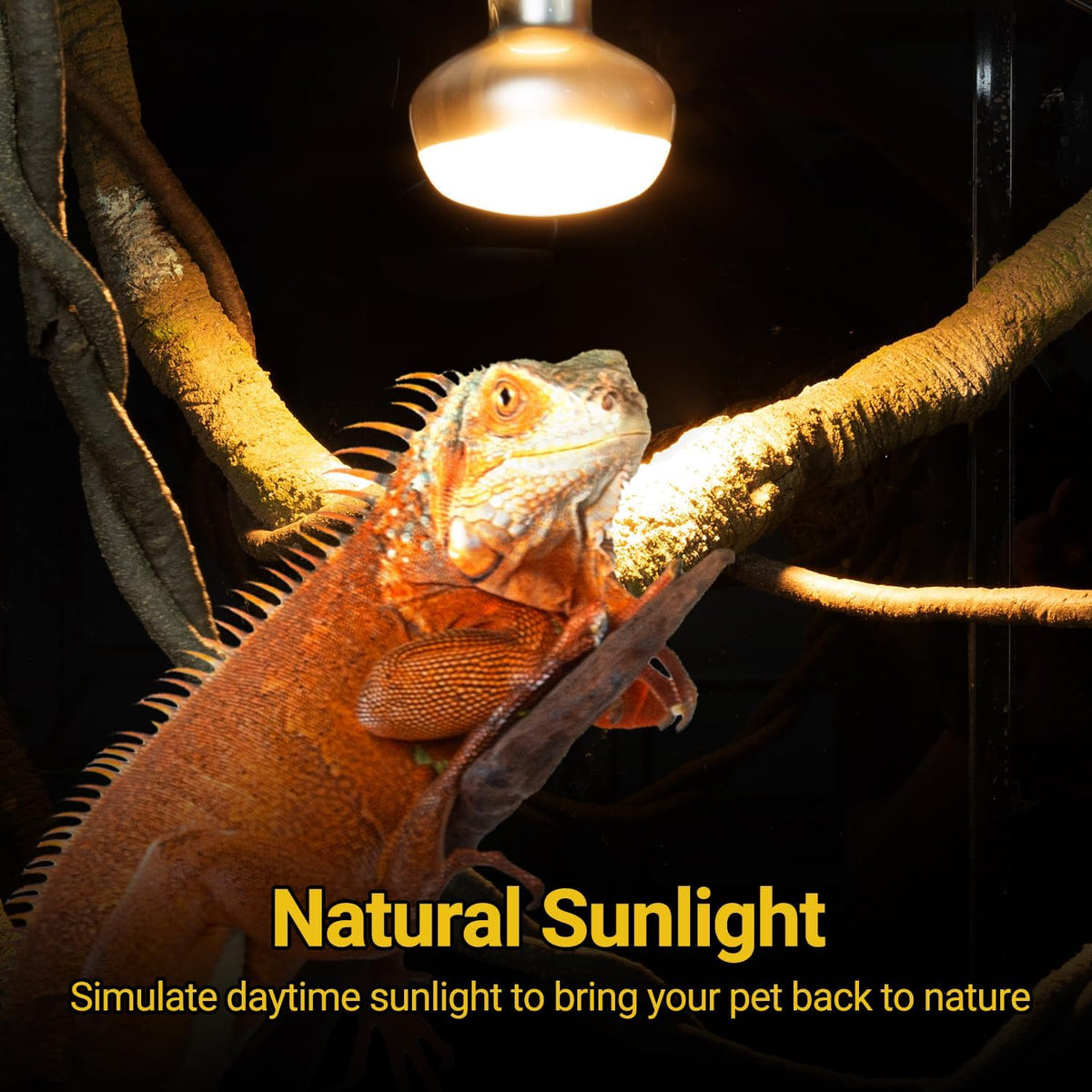 REPTI ZOO 2 Pack Heat Lamp 150W, Intense Basking Spot Simulated Natural Sunlight Heating Lamp Bulb