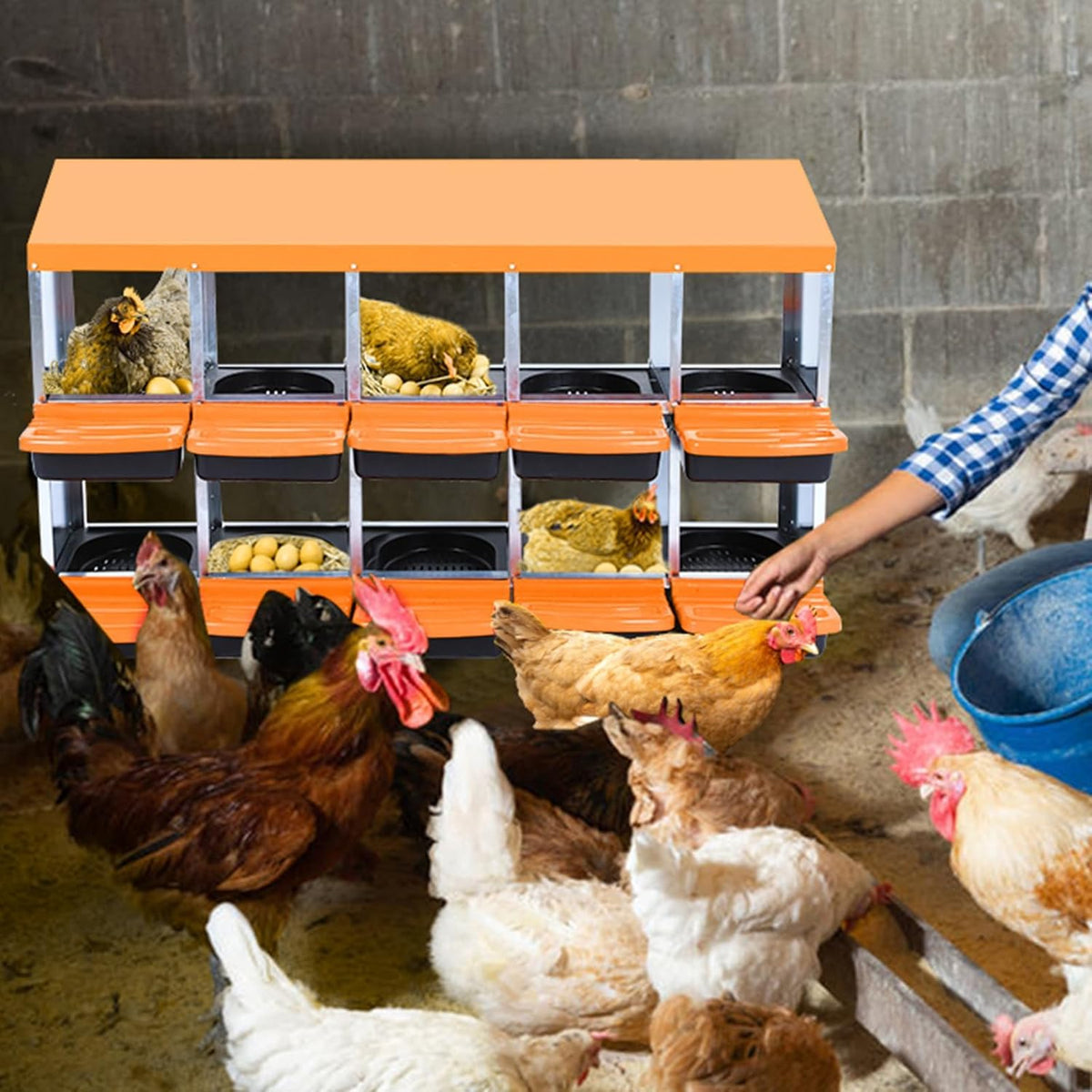 Chicken Nesting Boxes, 10 Hole Metal Chicken Laying Box with with Removable Trays and Roll Out Egg