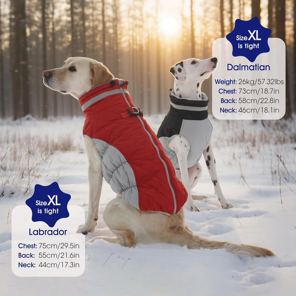 FUAMEY Dog Coat for Medium Dogs,Waterproof Dog Winter Jacket with Harness Built in Puppy Cold