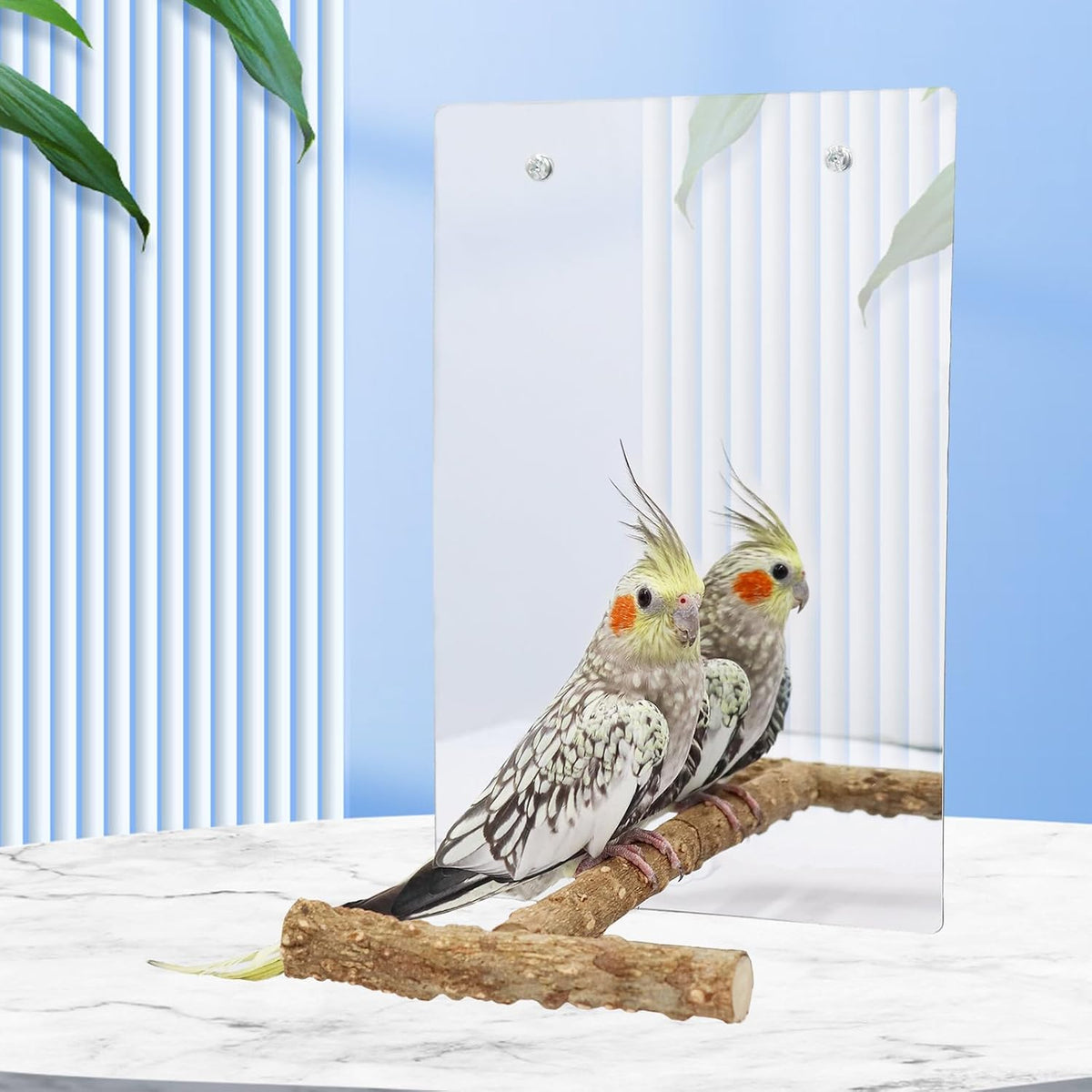 Oooct Large Bird Mirror Toy with Perch Stand, Parrot Parakeet Mirror with Bird Swing Bell Toys