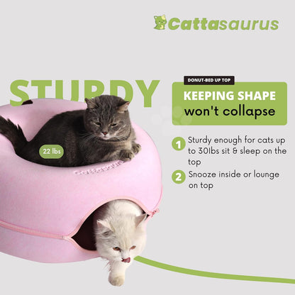 Cattasaurus Peekaboo Cat Cave for Multiple & Large Cats Up to 30-45 Lbs, Scratch Detachable &