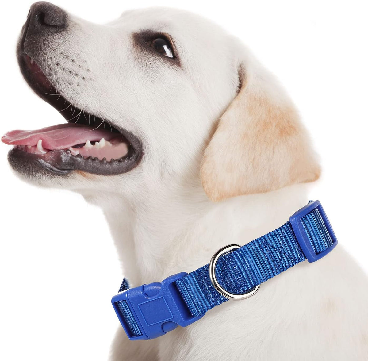 9 Pieces Adjustable Dog Collar for Animal, Soft Nylon Pets Puppy Collar with Quick Release Buckle