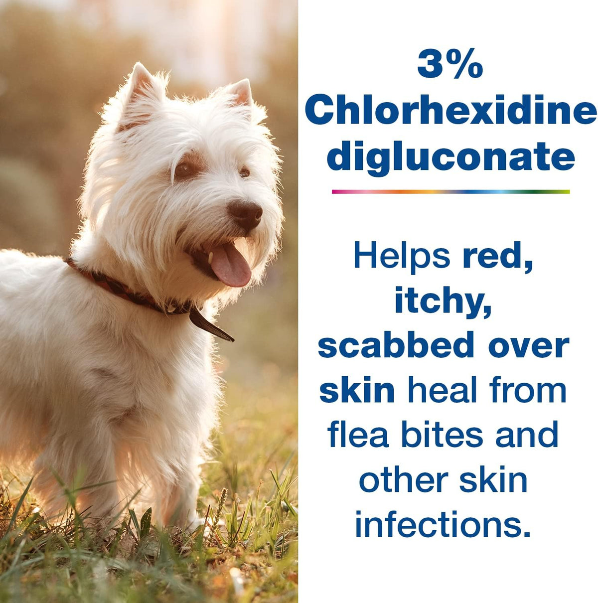Douxo S3 Pyo Pads, Contains 3% Chlorhexidine & 0.5% Ophytrium, Antiseptic & Hydrating, For