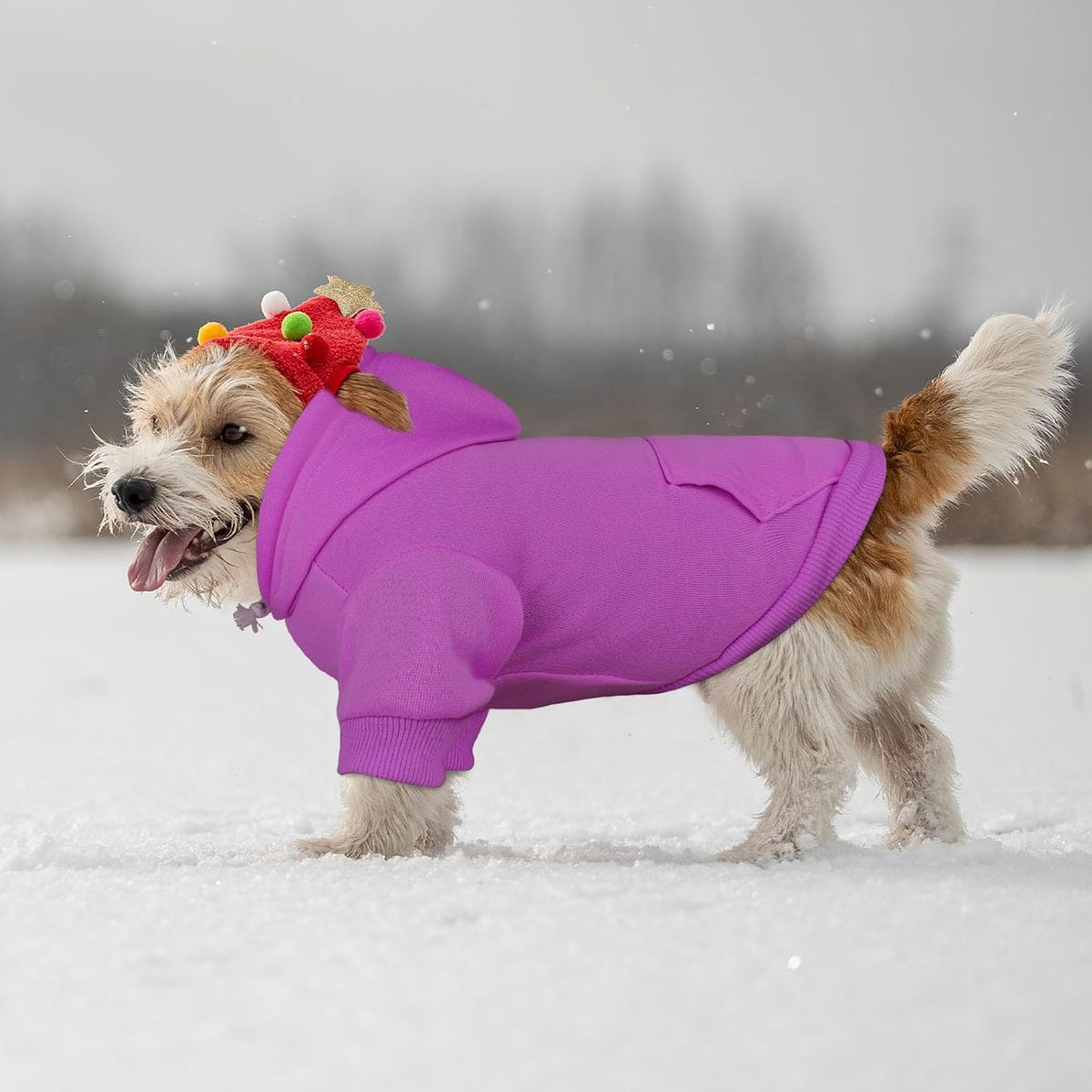 Dog Sweaters for Small Dogs Dog Hoodie Solid Soft Brushed Fleece Clothes Hoodie Sweatshirt with