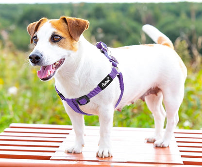 PUPTECK No Pull Dog Harness Soft Adjustable Basic Nylon Step in Puppy Vest Outdoor Walking with ID