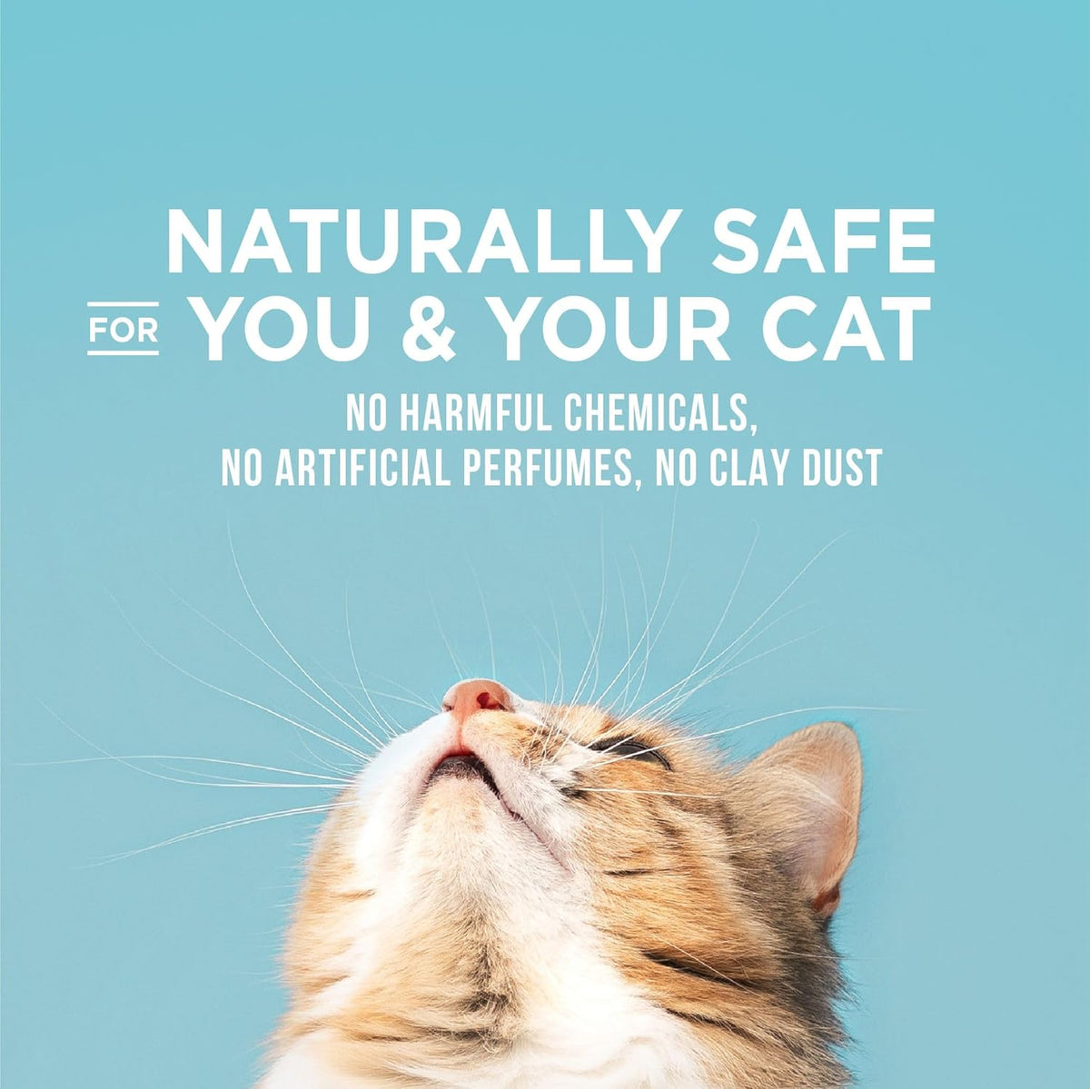 WORLD'S BEST CAT LITTER Poop Fighter Maximum Odor Defense, 32-Pounds - Natural Ingredients, Quick
