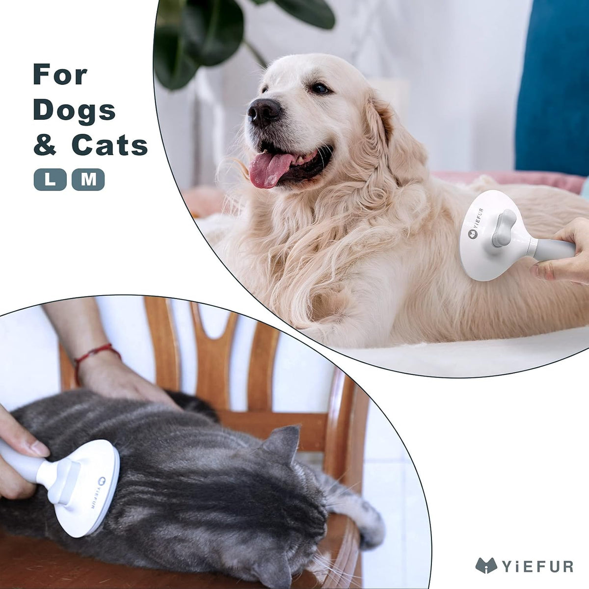 Cat Hair Brush,Cat Brush for Shedding,Soft Silicone Self Cleaning Brushes for Short and Long Haired