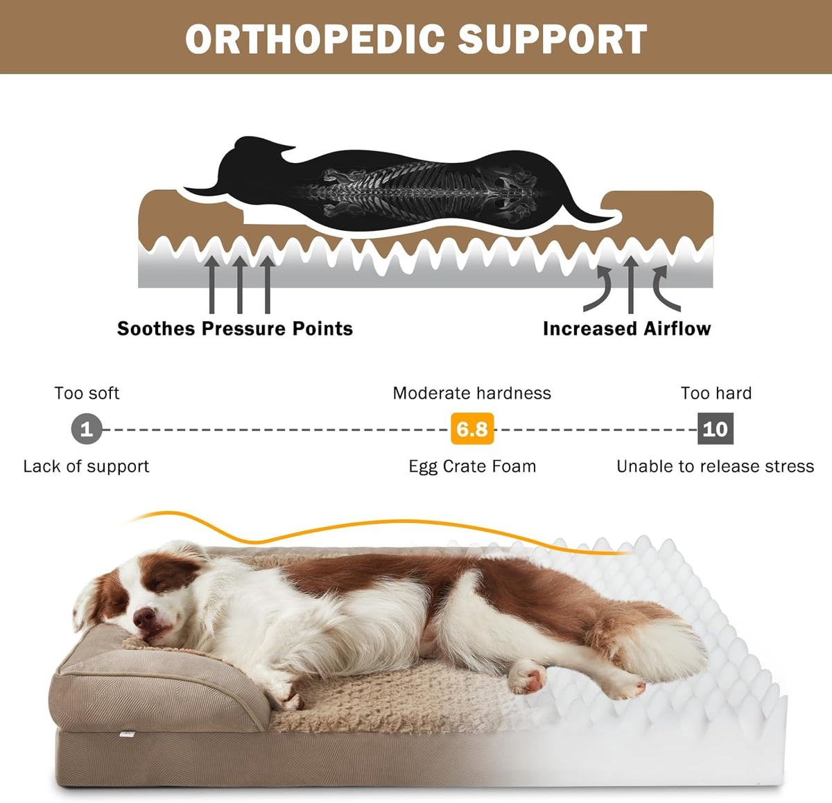 INVENHO Orthopedic Medium Dog Beds for Medium Dogs, Waterproof, Egg-Crate Foam Dog Couch Bed with