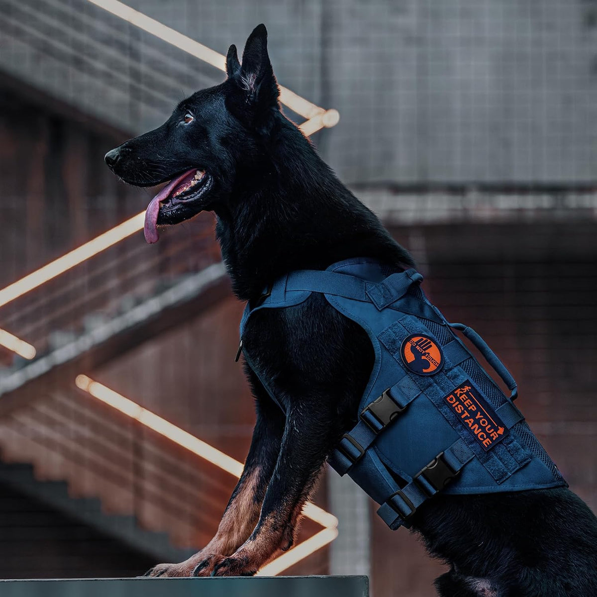 OneTigris Tactical Dog Harness for Small Medium Large Dogs, Mesh Design Service Dog Vest Breathable