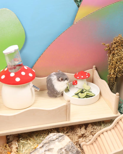Niteangel Hamster Snack & Treats Toy - Small Animal Natural Treat for Dwarf Syrian Robo Hamsters