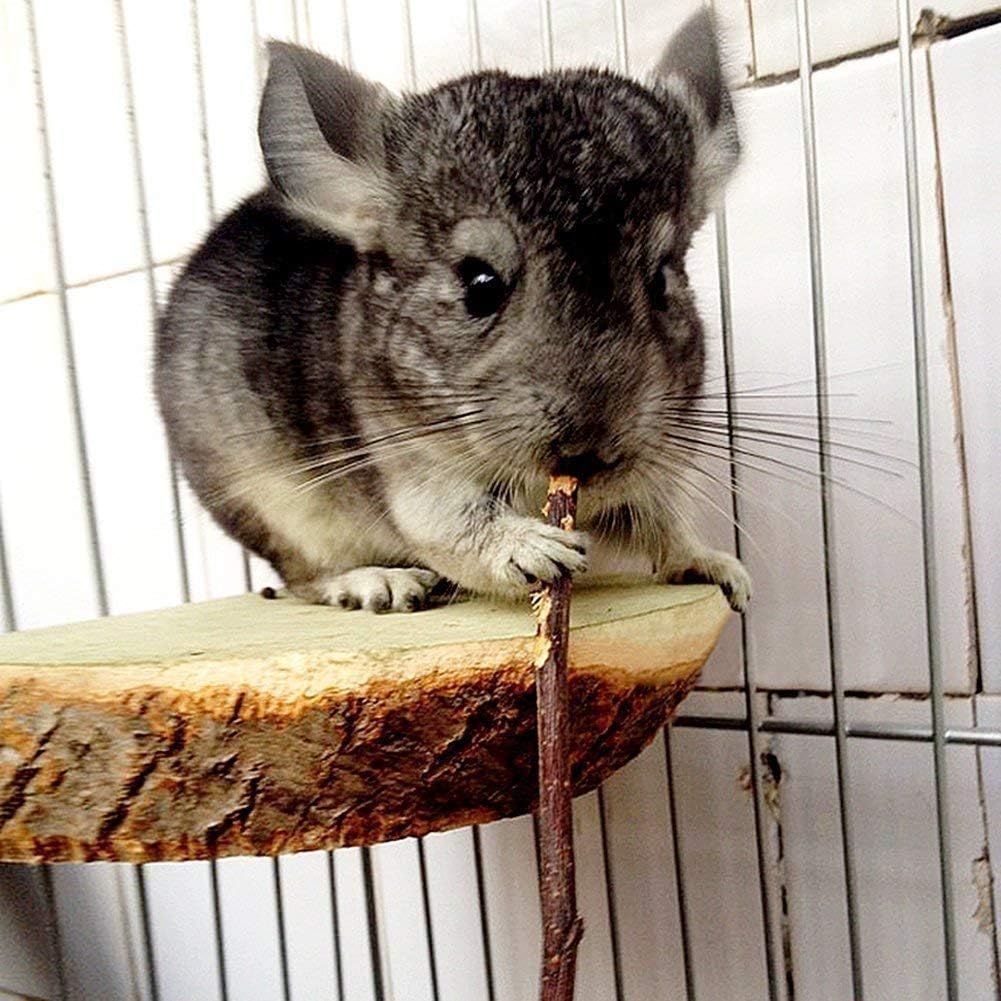 500g Apple Sticks Small Animals Molar Wood Toys for Rabbits Chinchillas Guinea Pig Hamster Gerbil