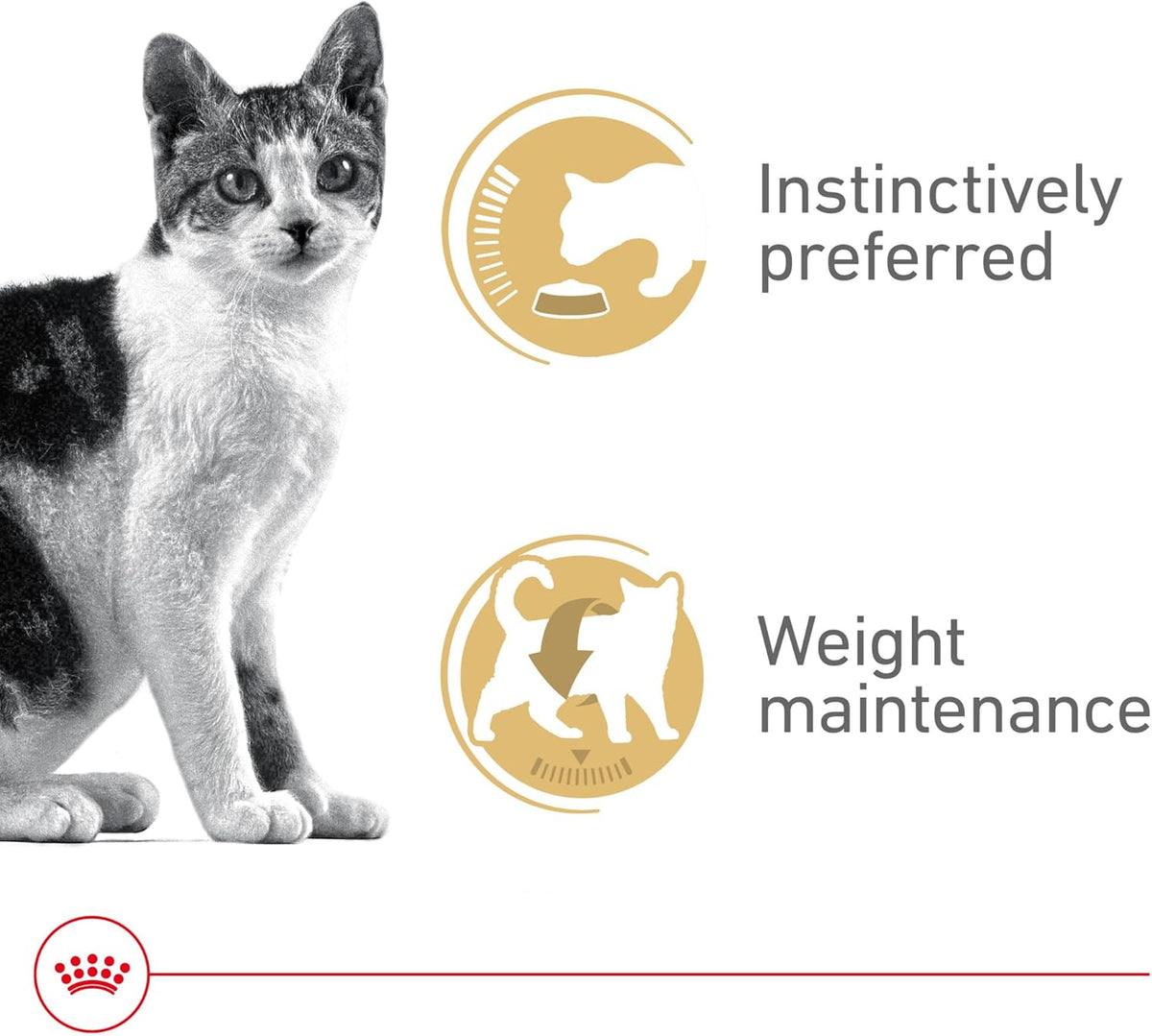 Royal Canin Adult Feline Health Nutrition Instinctive Thin Slices in Gravy Canned Wet Cat Food, 3