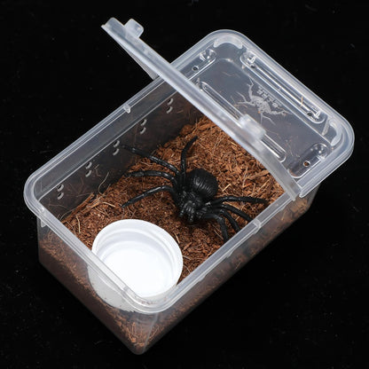Irenare 8 Pcs Reptile Breeding Breeding Box Plastic Spider Terrarium Tarantula Feeding Box for