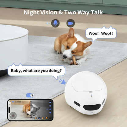 Cat Camera with Interactive Pointer Toy, Moving Robot for Dog and Cat, Mobile Pet Camera Treat
