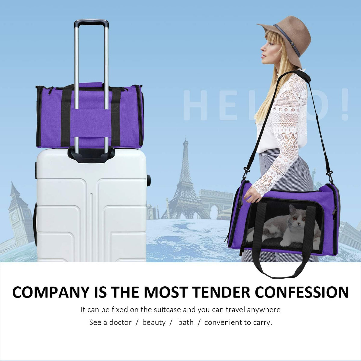 Large Cat Carriers Dog Carrier Pet Carrier for Large Cats Dogs Puppies up to 25Lbs, Big Dog Carrier