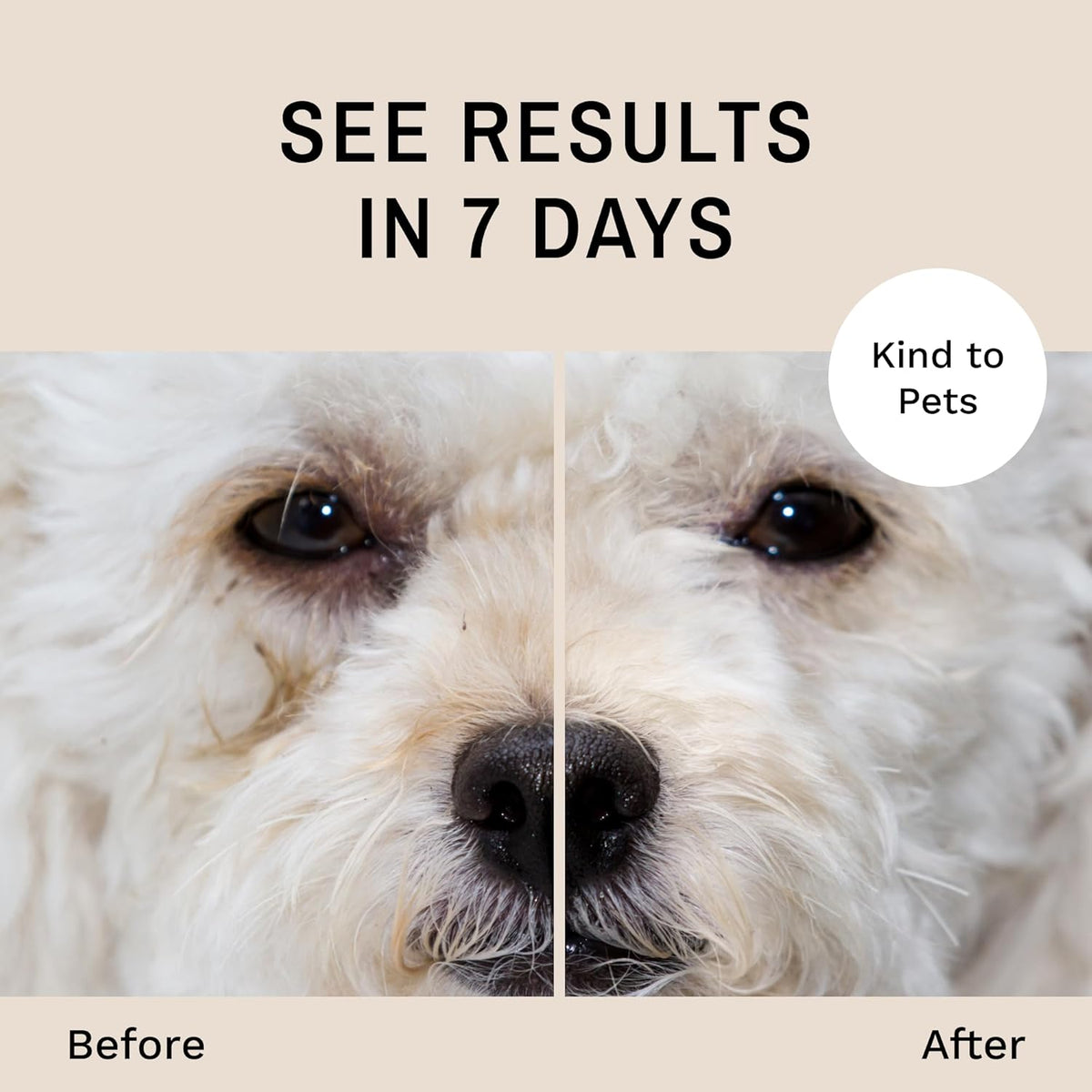 Eye Envy Dog Tear Stain Remover Starter Kit with ProPowder Brush | Stain Solution, Applicator Pads