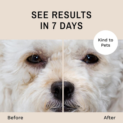 Eye Envy Dog Tear Stain Remover Starter Kit with ProPowder Brush | Stain Solution, Applicator Pads