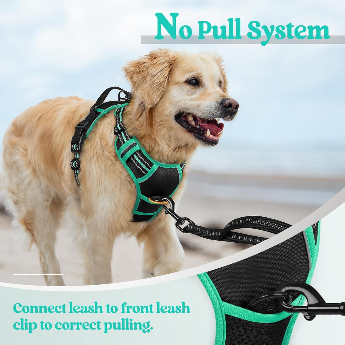 rabbitgoo Dog Harness No Pull with 2 Leash Clips, Adjustable Soft Padded, Reflective Oxford No